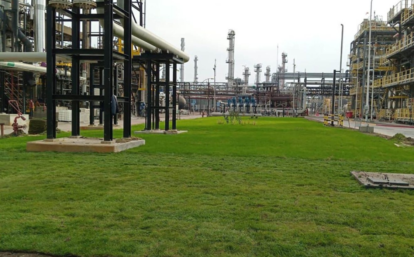 Parquizado en Refinería Campana
